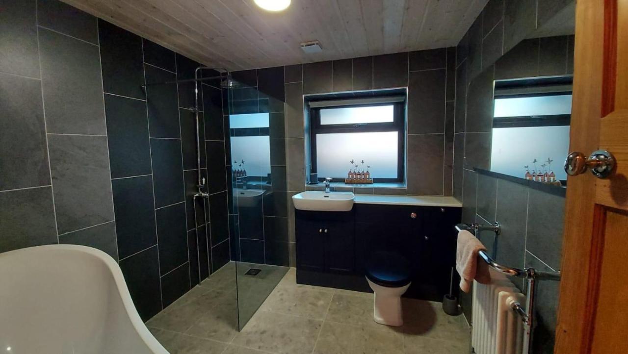 No 1 Dolheulog Aberaeron Sa46 0Ep Villa Exterior photo
